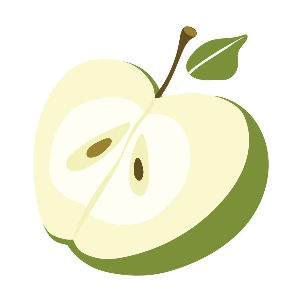 Fresh green apple isolated on a white background vector