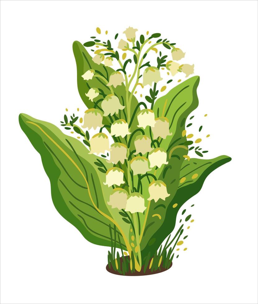 Lily of the valley. isolated illustration vector