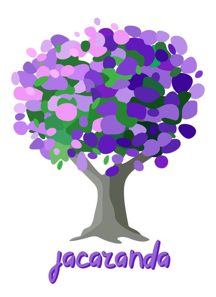 Jacaranda tree. South american tree with purple flowers. isolated illustration vector