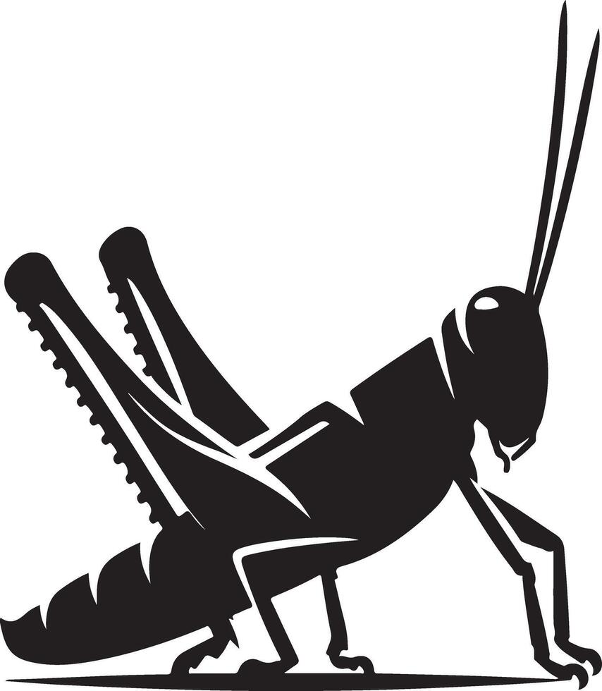 Grasshopper silhouette, Grasshopper illustration, Grasshopper isolated on white background vector
