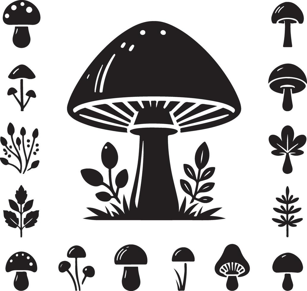 Mushroom silhouettes, graphic drawing with lines, black and white cut truffle, porcini mushroom, shiitake and chanterelles isolated vector