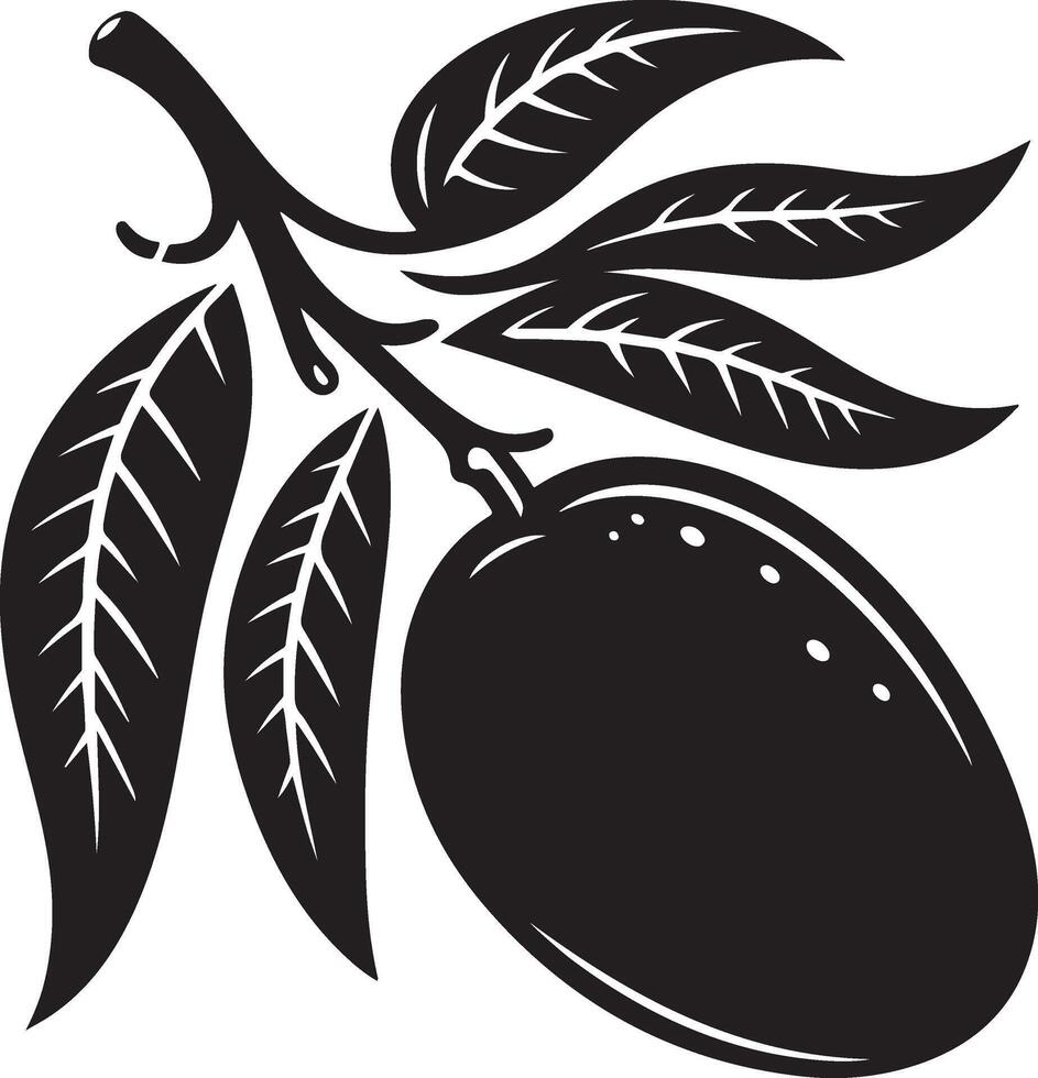 Mango fruit with branch and leaves silhouette isolated on white background. Mango icon illustration design vector