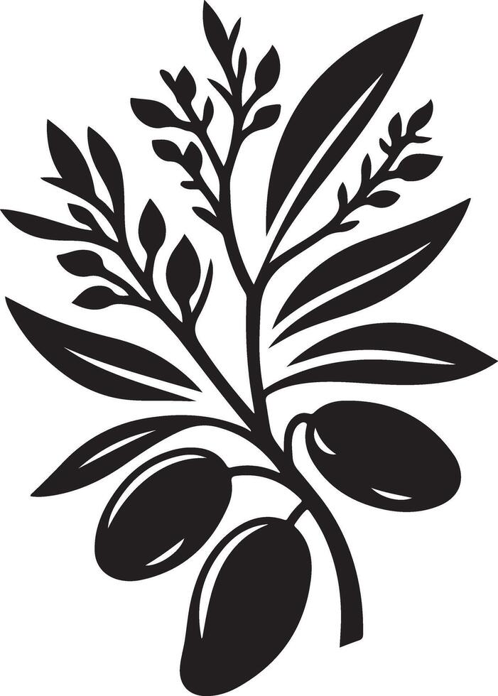 Mango fruit with branch and leaves silhouette isolated on white background. Mango icon illustration design vector