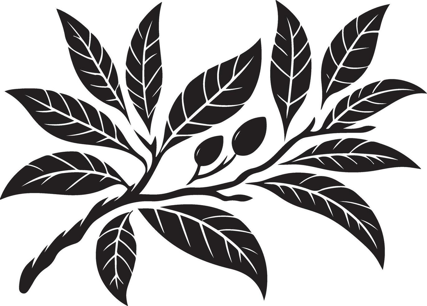 Mango fruit with branch and leaves silhouette isolated on white background. Mango icon illustration design vector