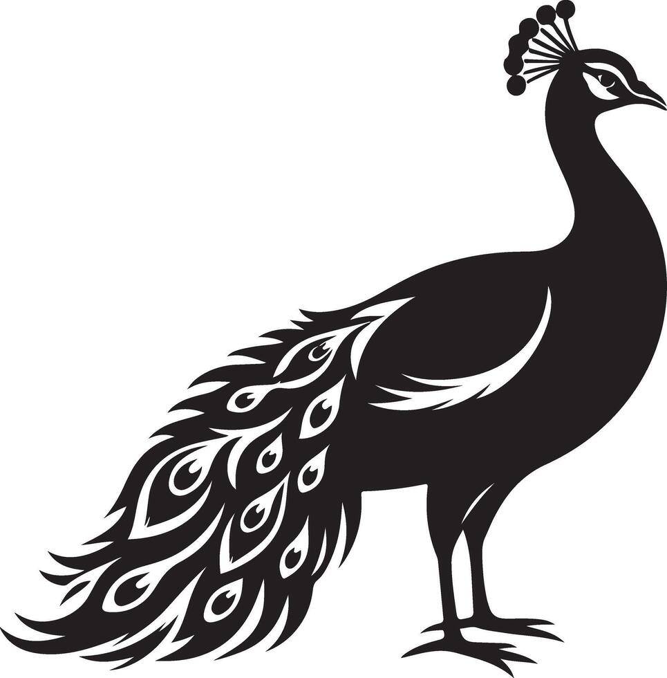 Peacock silhouette isolated on a white background. illustration vector