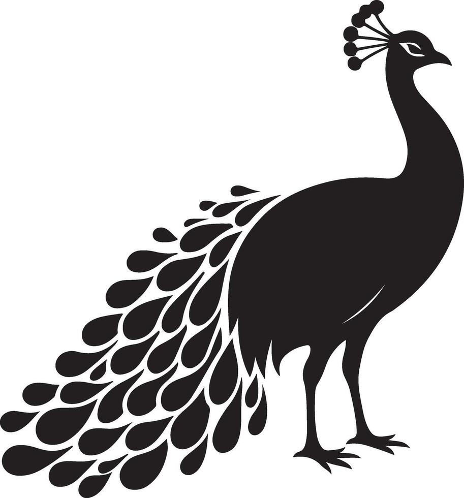 Peacock silhouette isolated on a white background. illustration vector