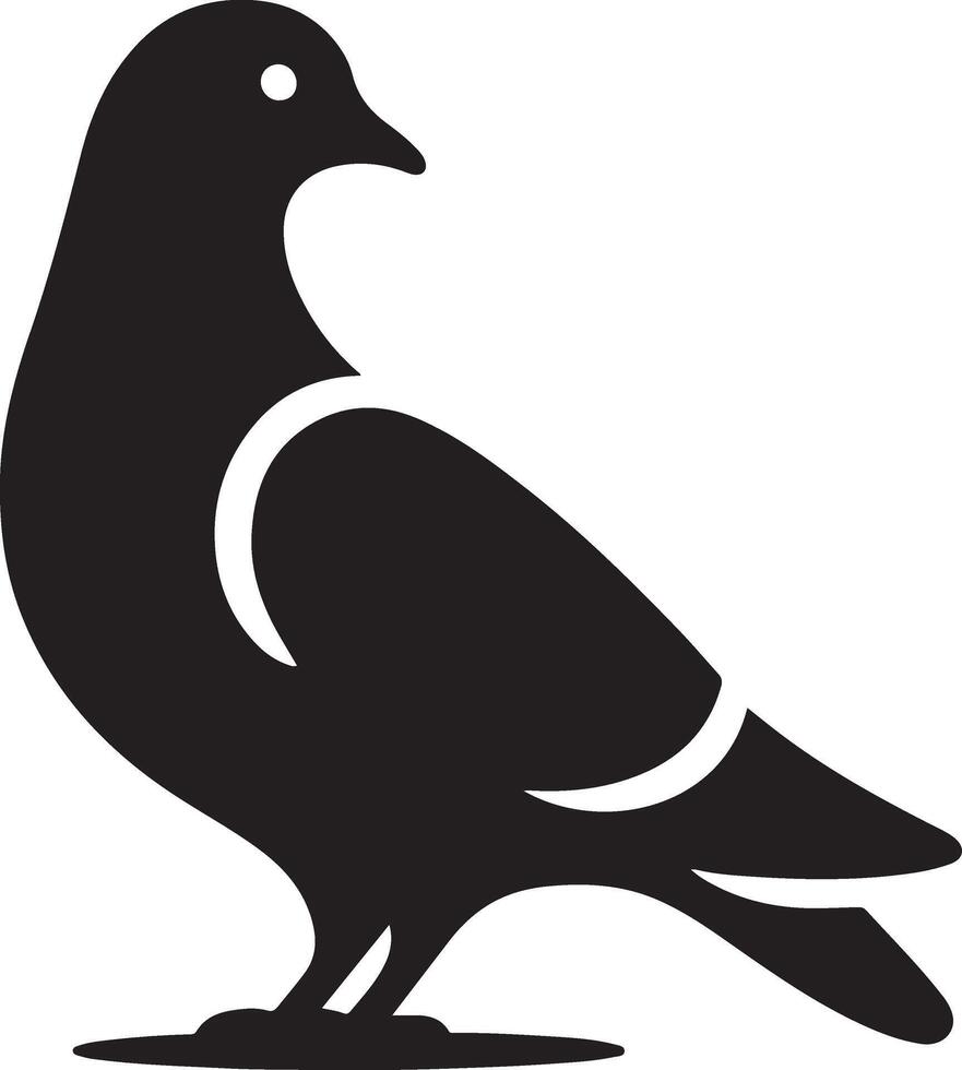 Pigeon silhouette, Pigeon SVG, Pigeon illustration, Pigeon bird silhouette vector