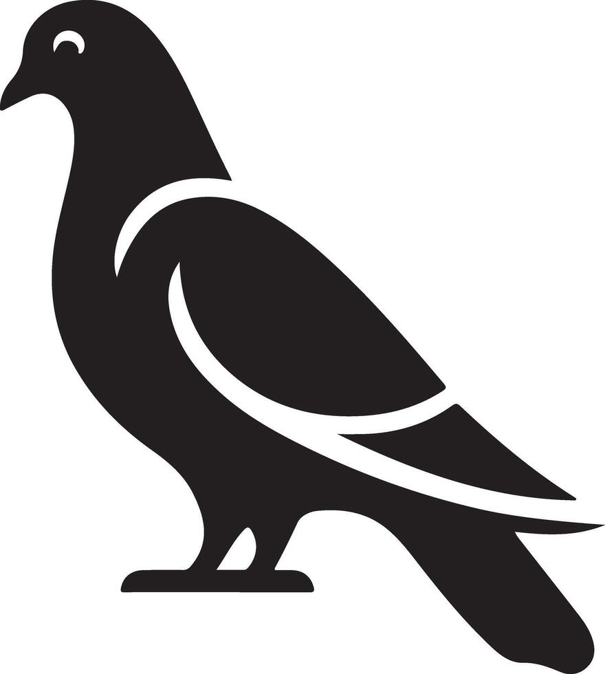 Pigeon silhouette, Pigeon SVG, Pigeon illustration, Pigeon bird silhouette vector