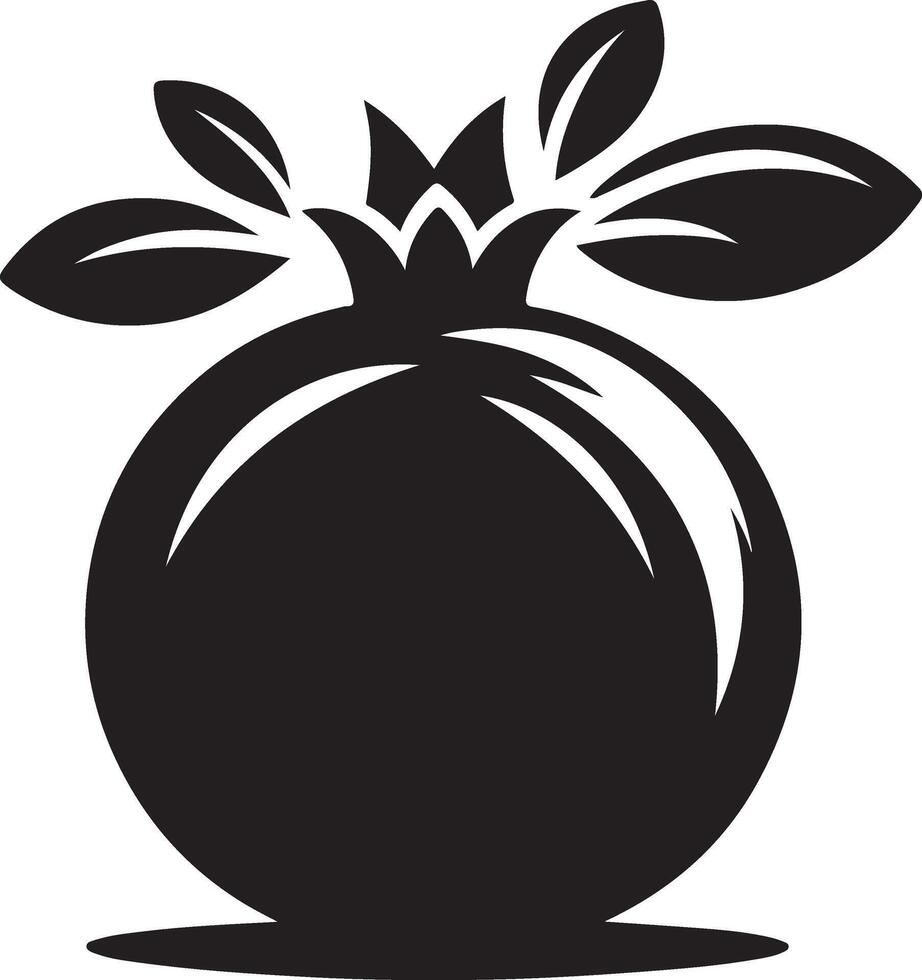 pomegranates - a black silhouette of fruit and a section on white background vector