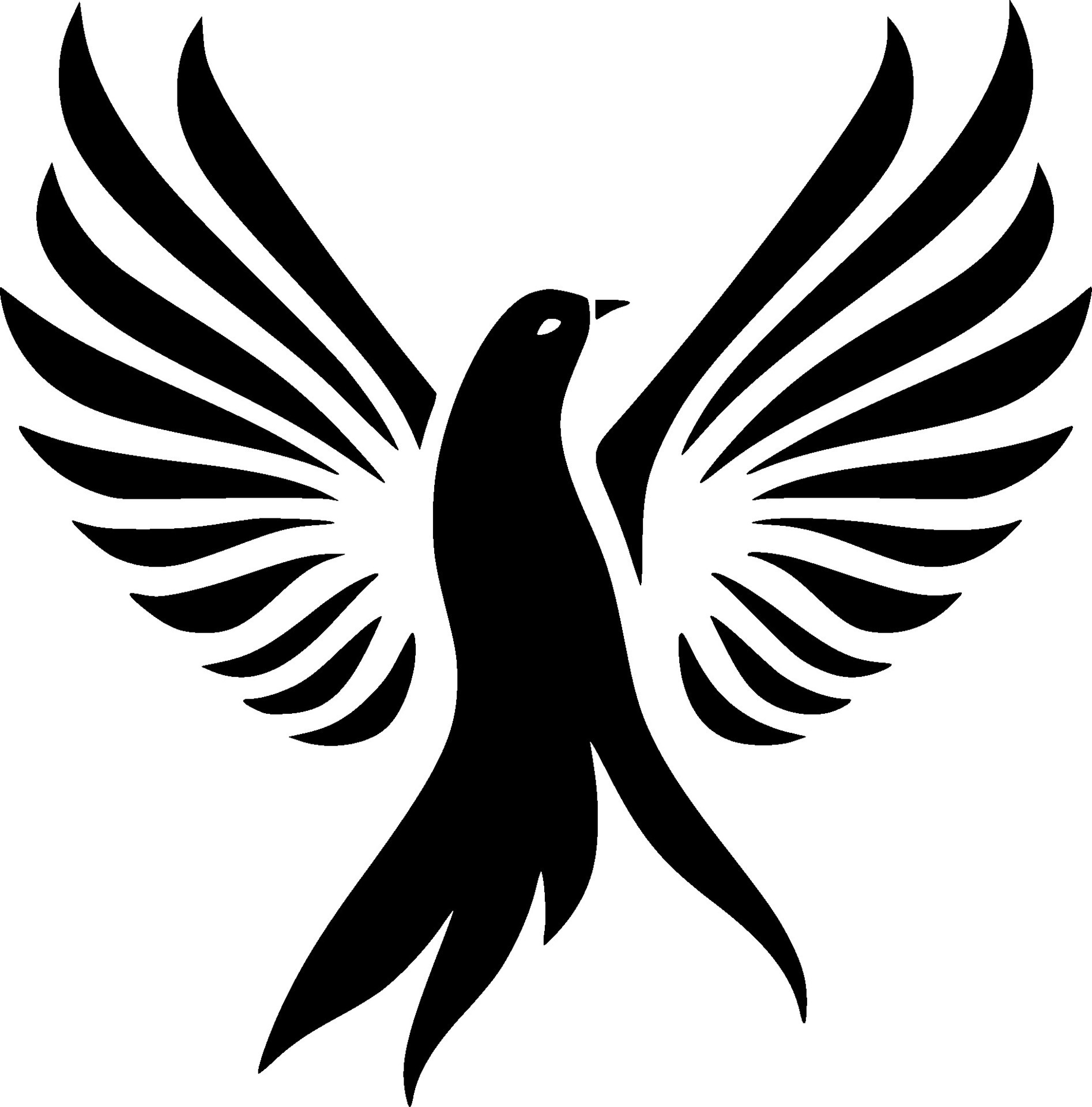 Dove, Black and White illustration 47799305 Vector Art at Vecteezy