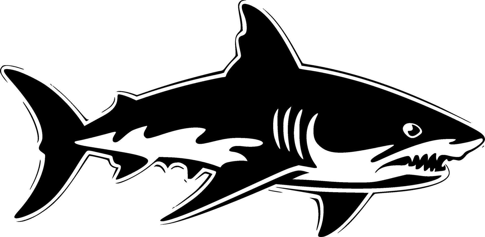Shark, Black and White illustration vector