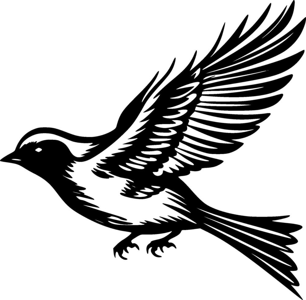 Sparrow, Black and White illustration vector