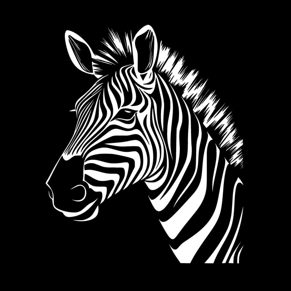 Zebra, Black and White illustration vector