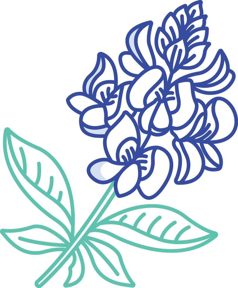Bluebonnet flower outline color illustration vector