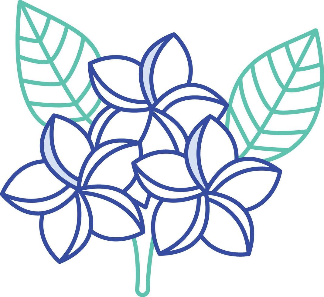 Frangipani flower outline color illustration vector