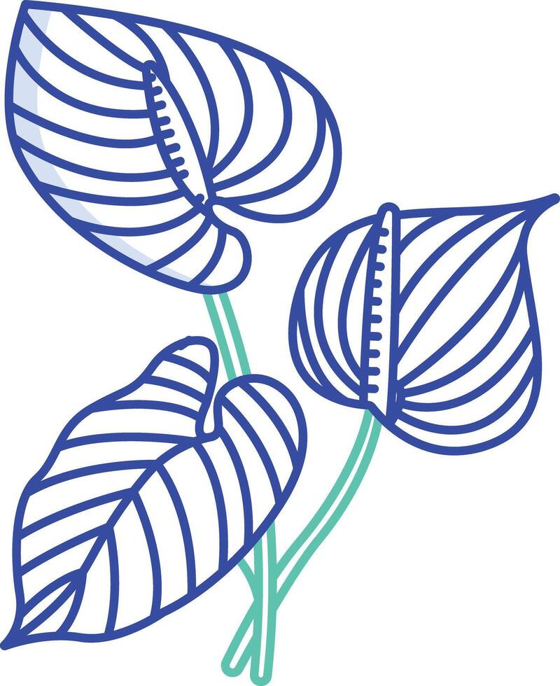 Anthurium flower outline color illustration vector