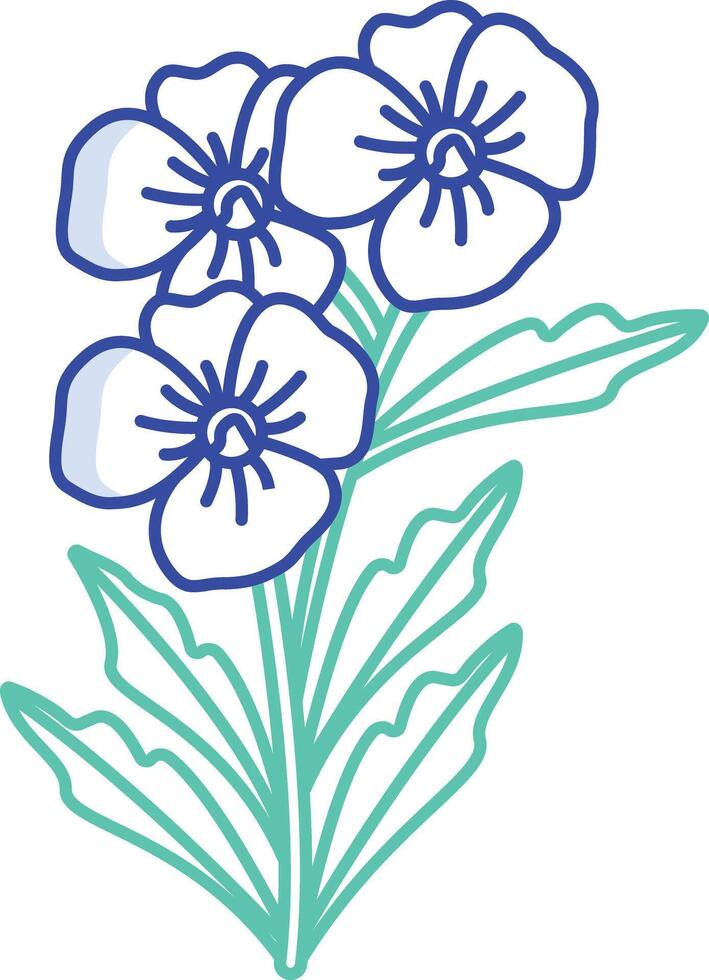 Plumbago flower outline color illustration vector