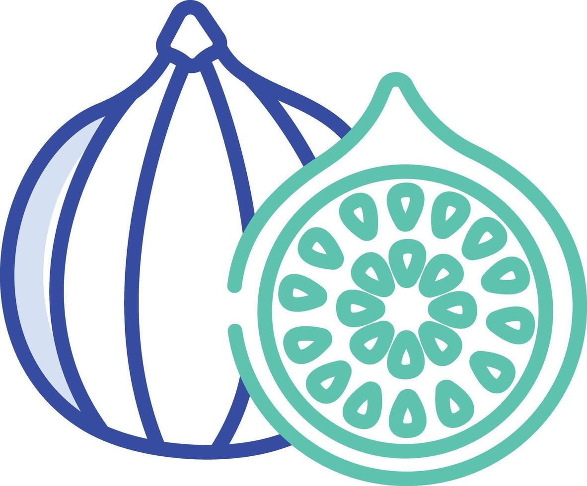Fig slice outline color illustration vector
