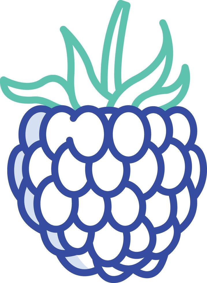 Raspberry cut outline color illustration vector