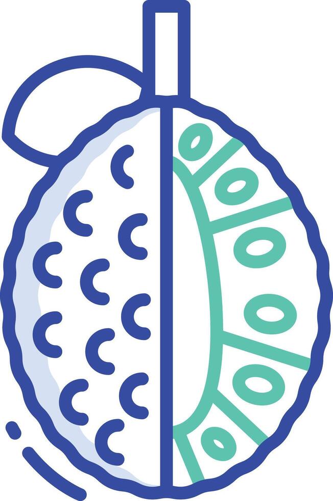 Jackfruit slice outline color illustration vector