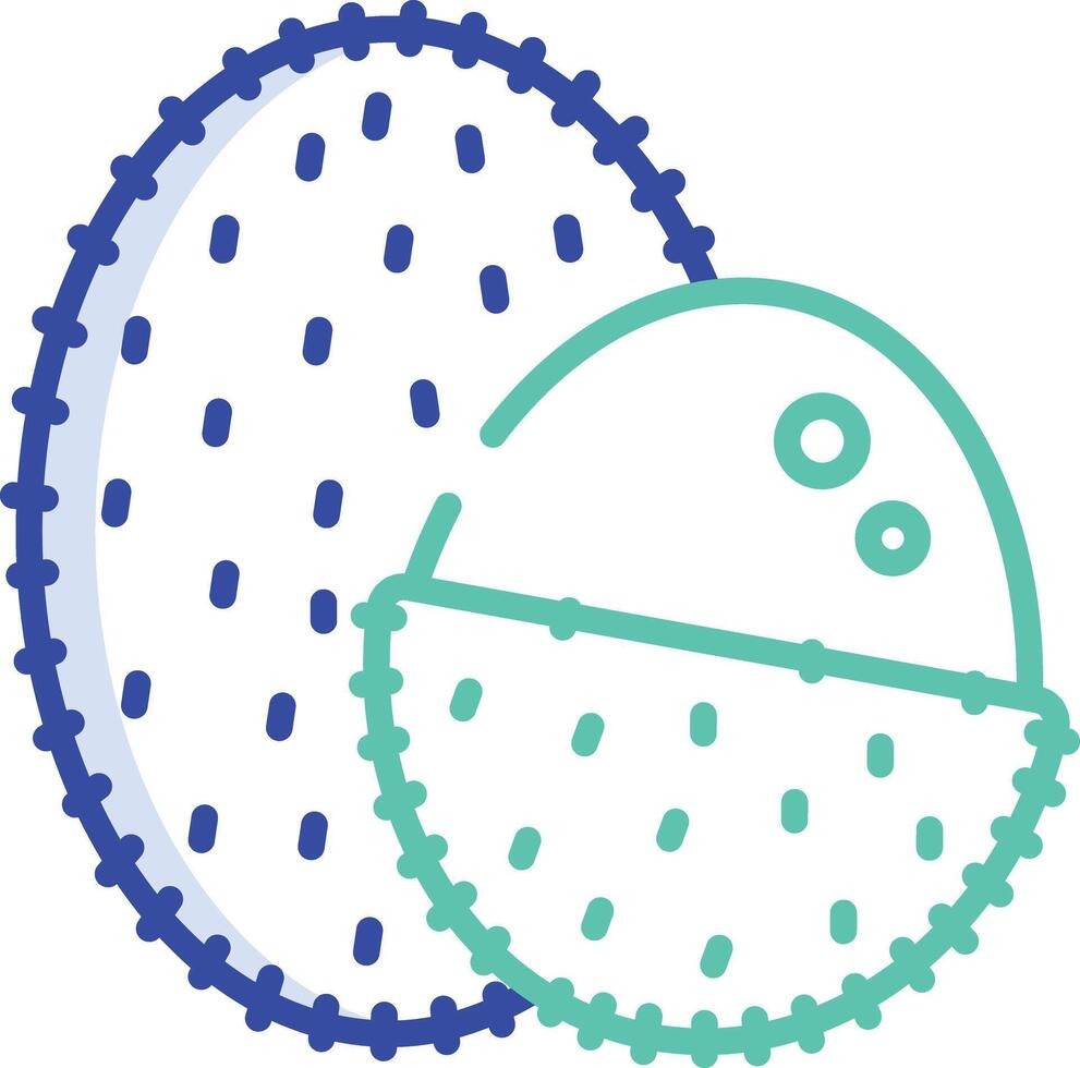 Lychee slice outline color illustration vector