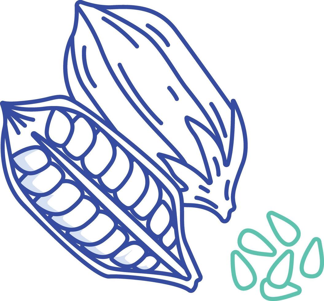 Sesame outline color illustration vector