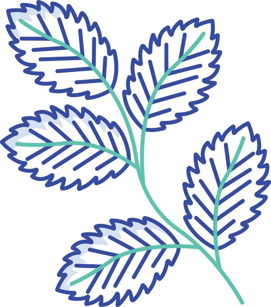 Mint leaf outline color illustration vector