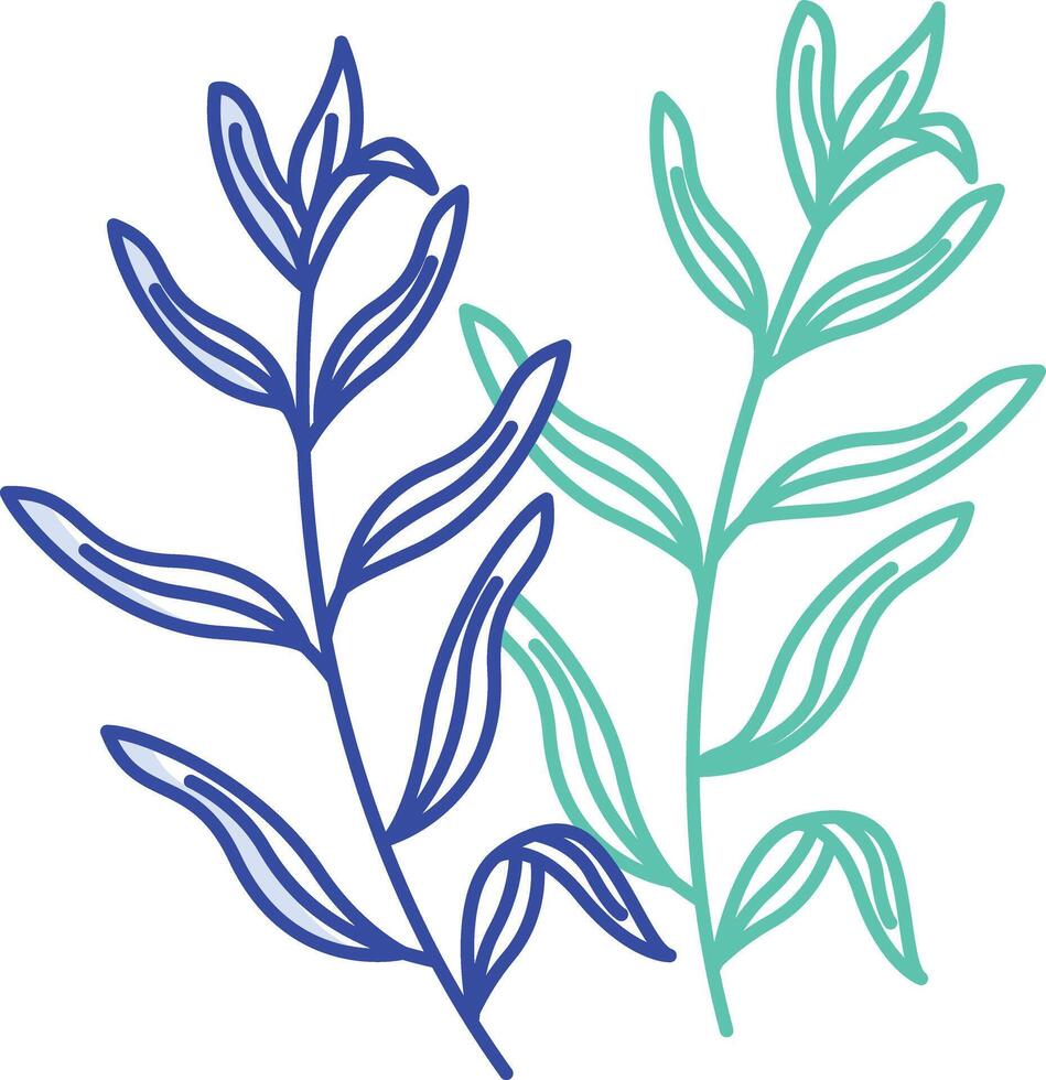 Tarragon outline color illustration vector