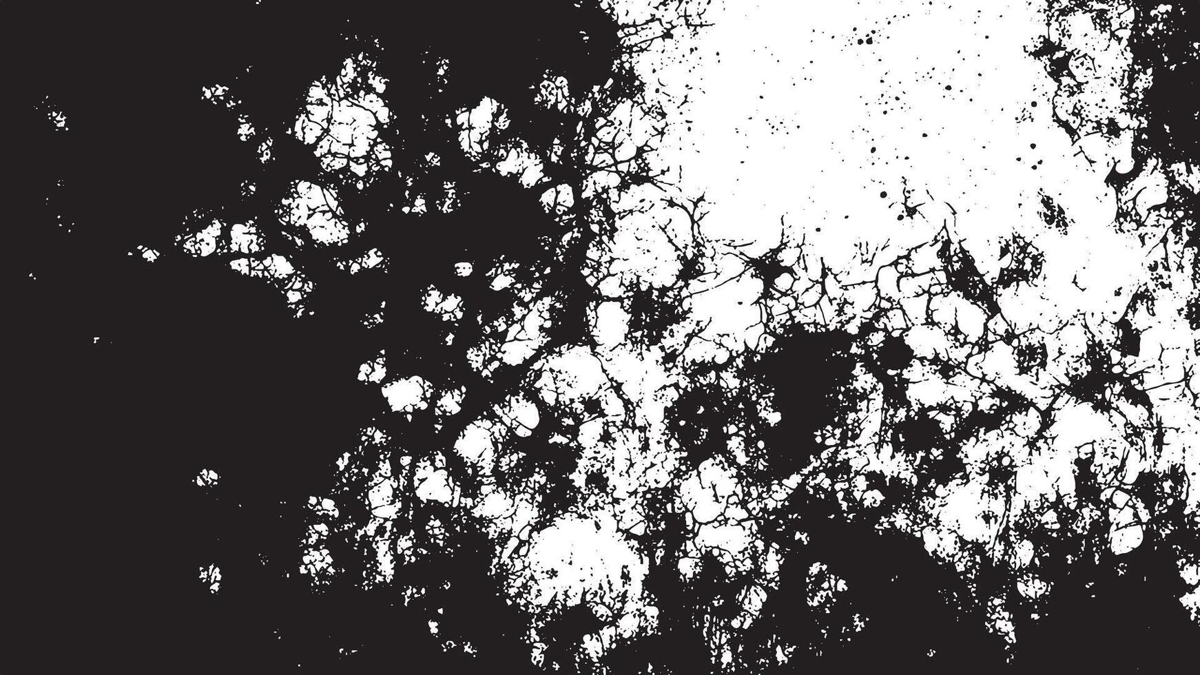 Black and White Gritty Grunge Texture with Fine Details and Delicate Patterns vector