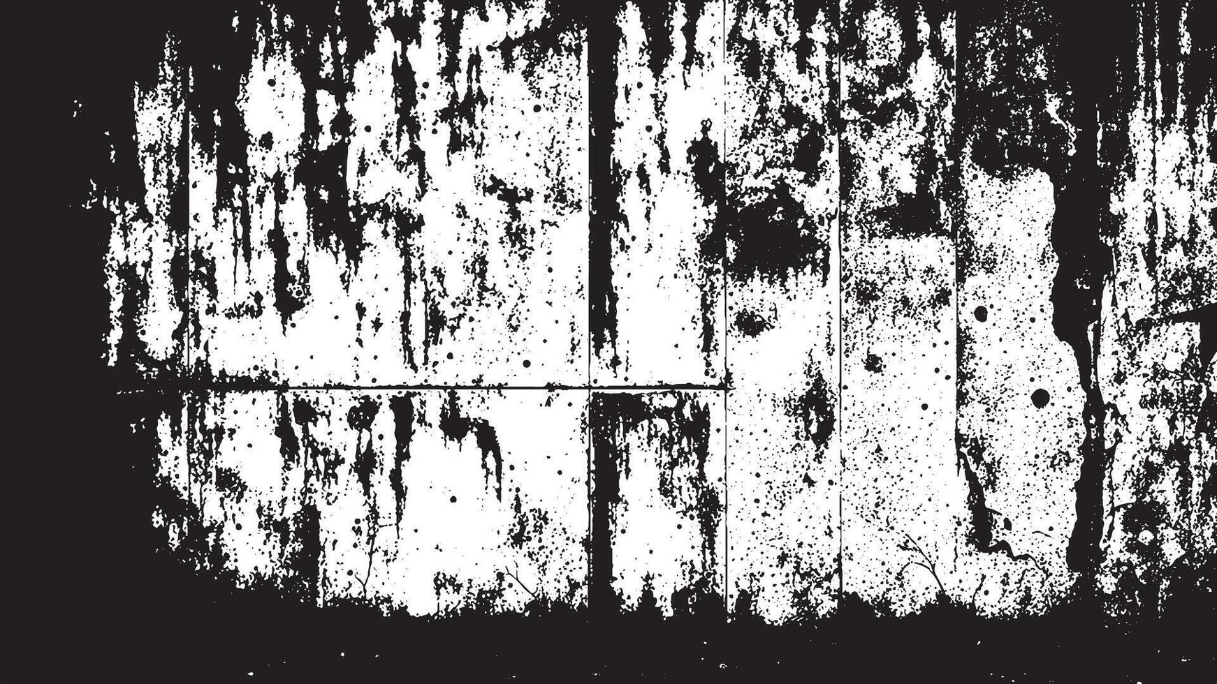 Black and White Gritty Grunge Texture with Fine Details and Delicate Patterns vector