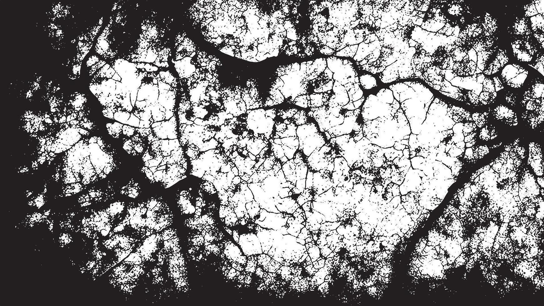 Black and White Gritty Grunge Texture with Fine Details and Delicate Patterns vector