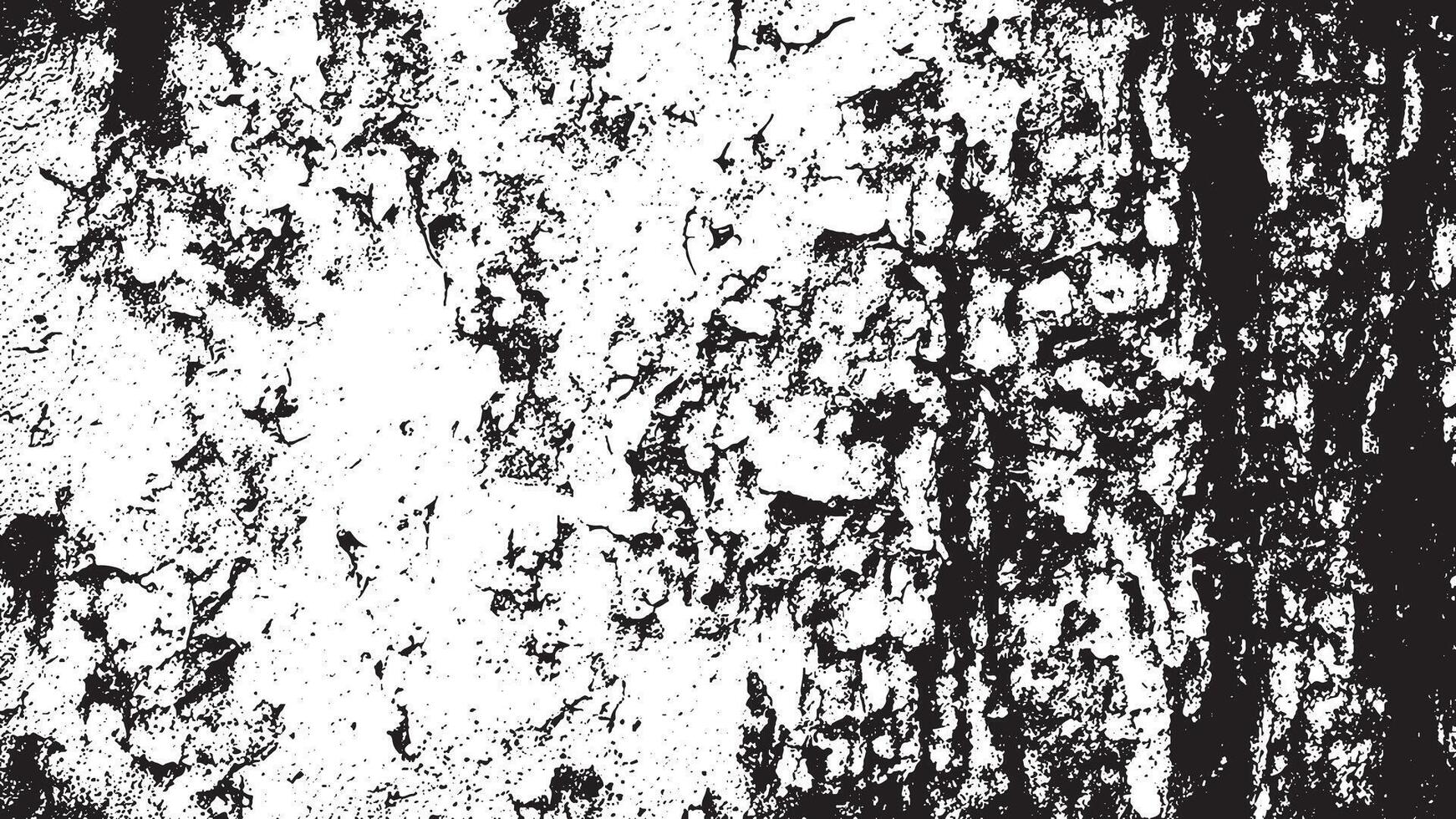 Black and White Gritty Grunge Texture with Fine Details and Delicate Patterns vector