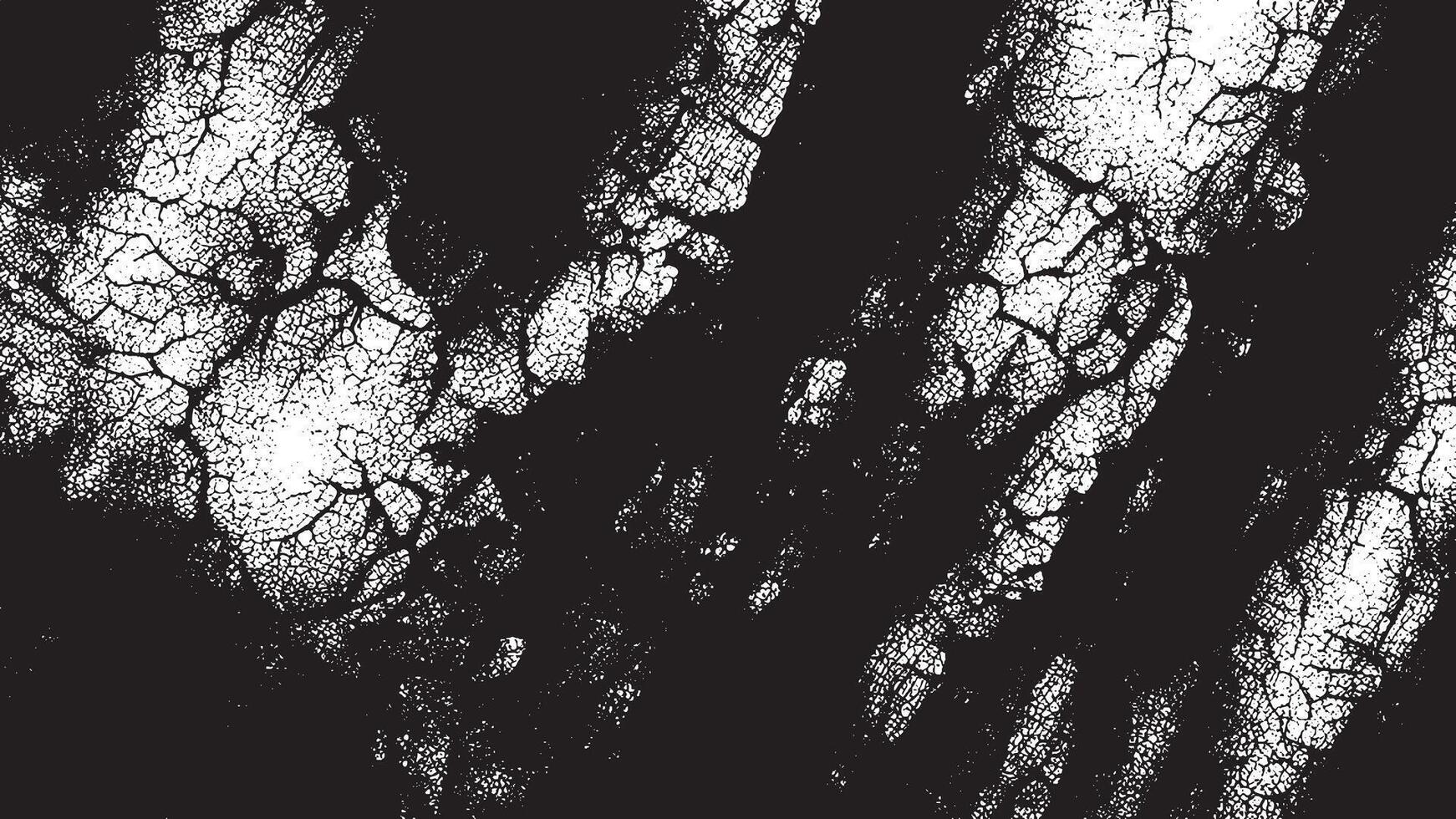 Intricate Grunge Overlay texture in Monochrome with High Contrast vector