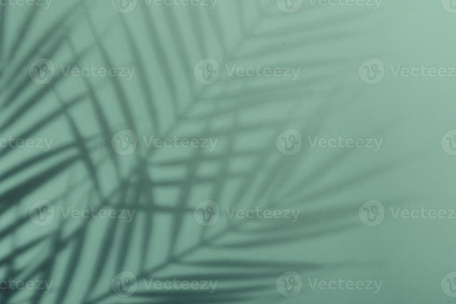 Natural palm leaves shadow on gradient paper background. Abstract blue and mint tropical backdrop. Soft light photo