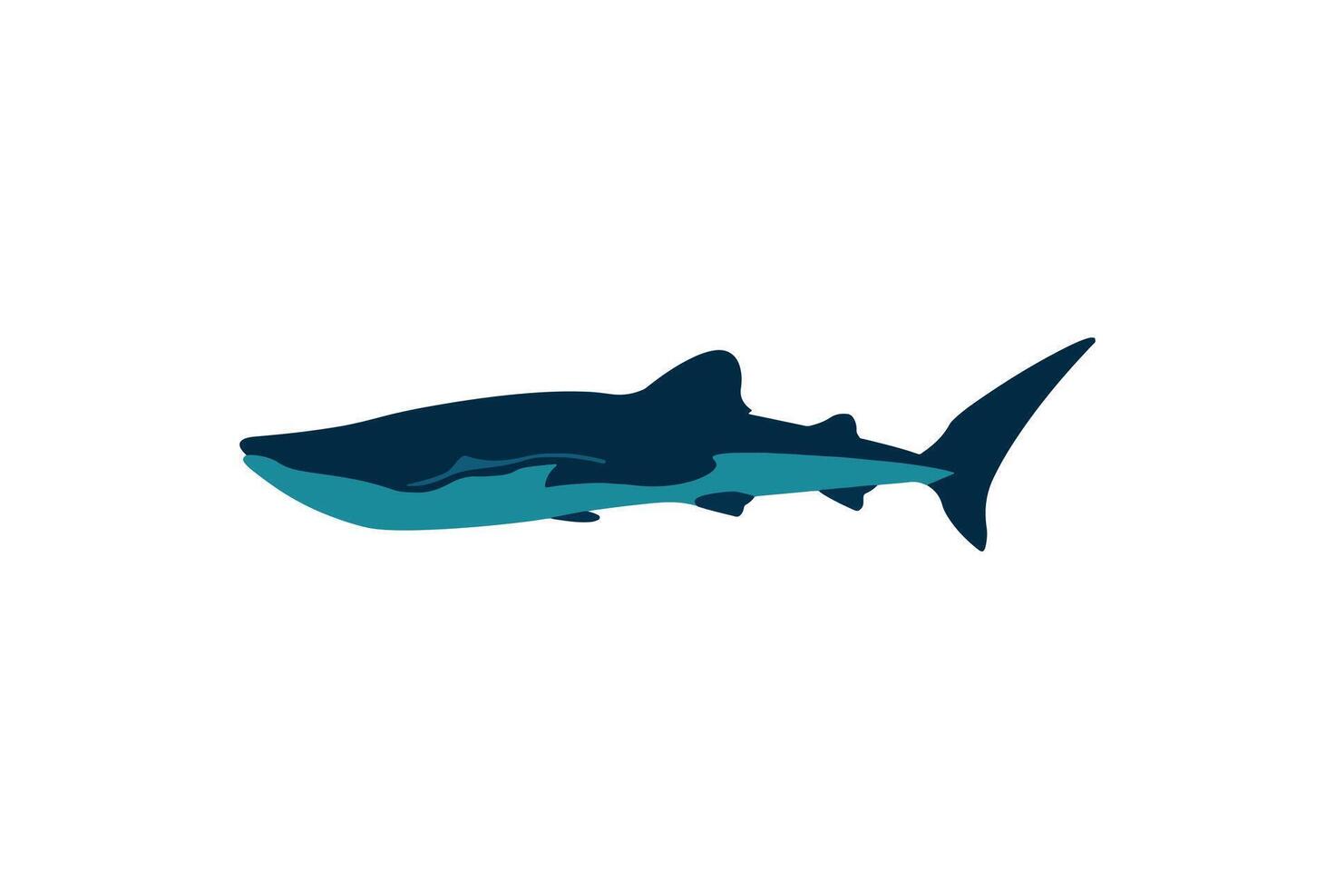 whale shark illustration isolated. Sea fish blue whaleshark vector