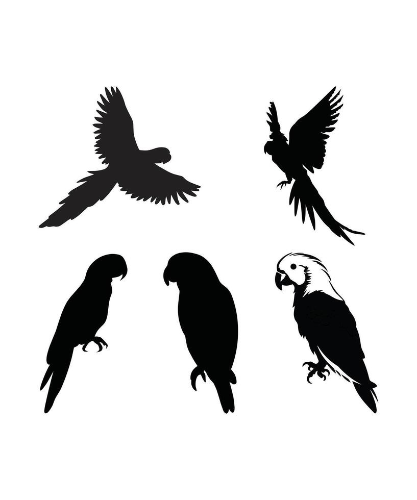macaw set, parrot set silhouettes of amazon jungle isolated on white background vector