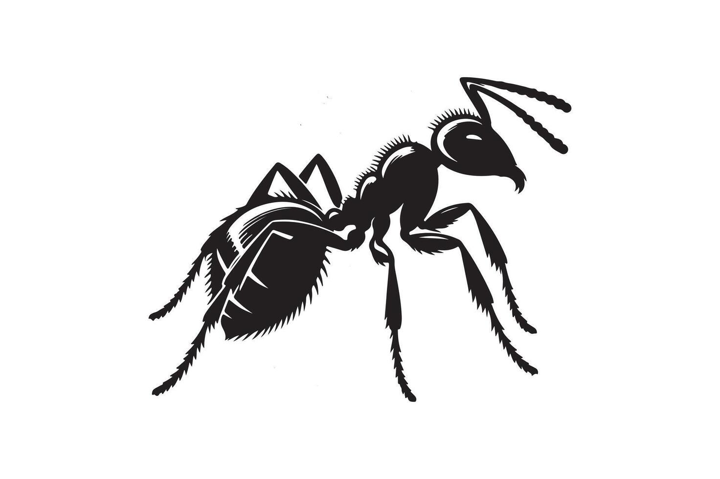 Ant silhouette illustration icon vector