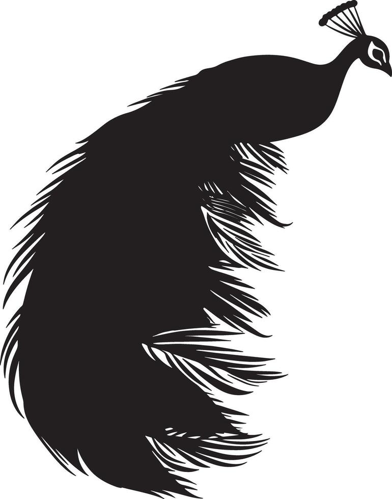black silhouette peacock feather with spread tail facing vector