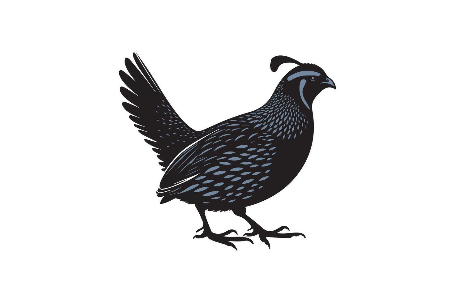 quail bird silhouette image vector