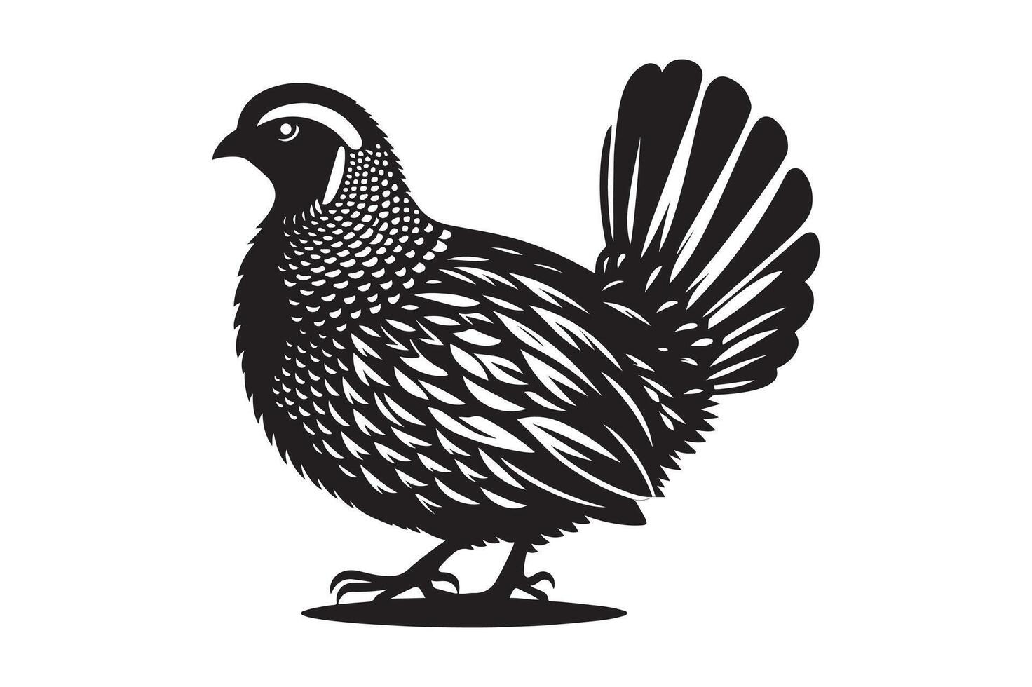 quail bird silhouette image vector