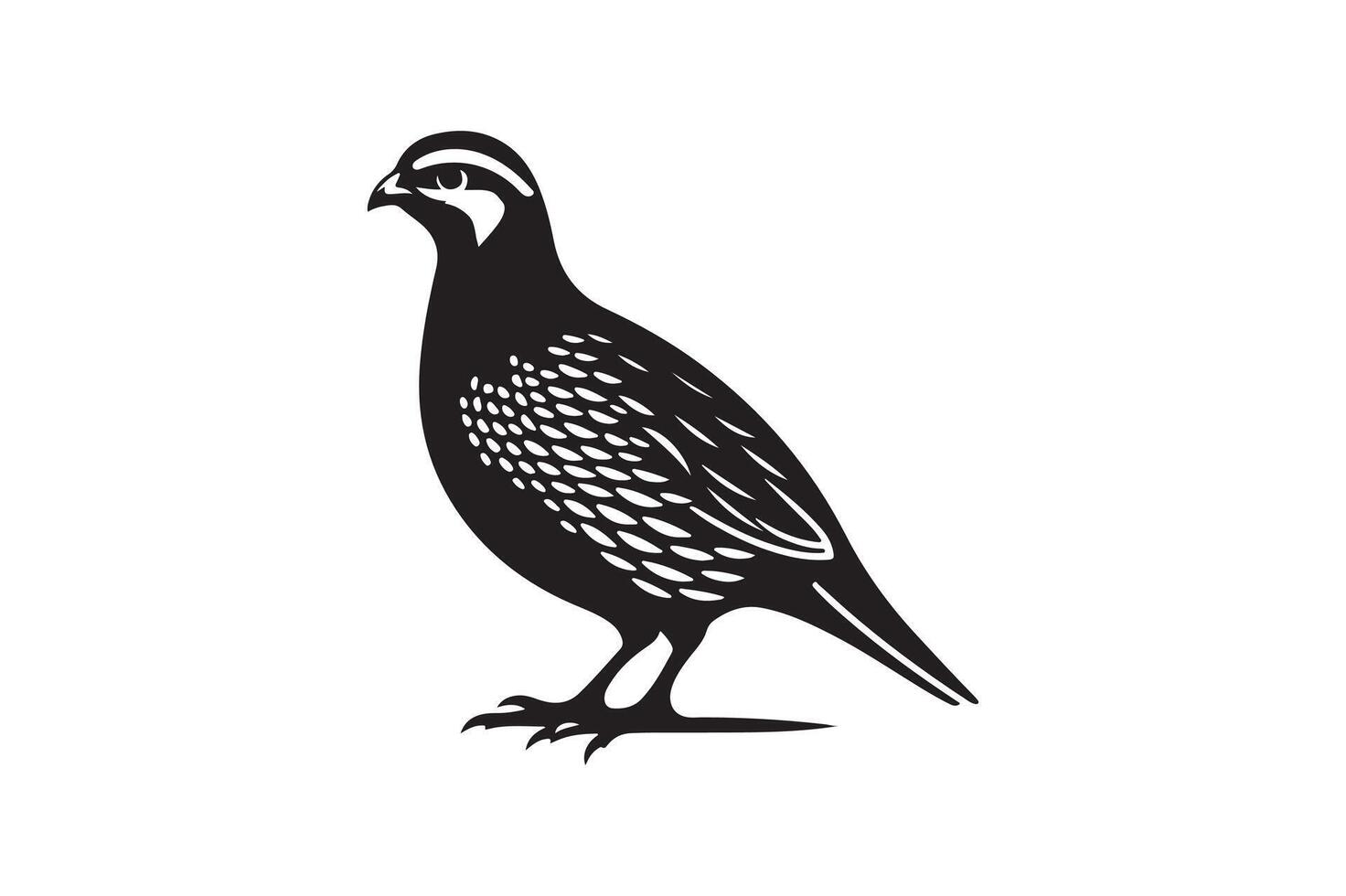 quail bird silhouette image vector