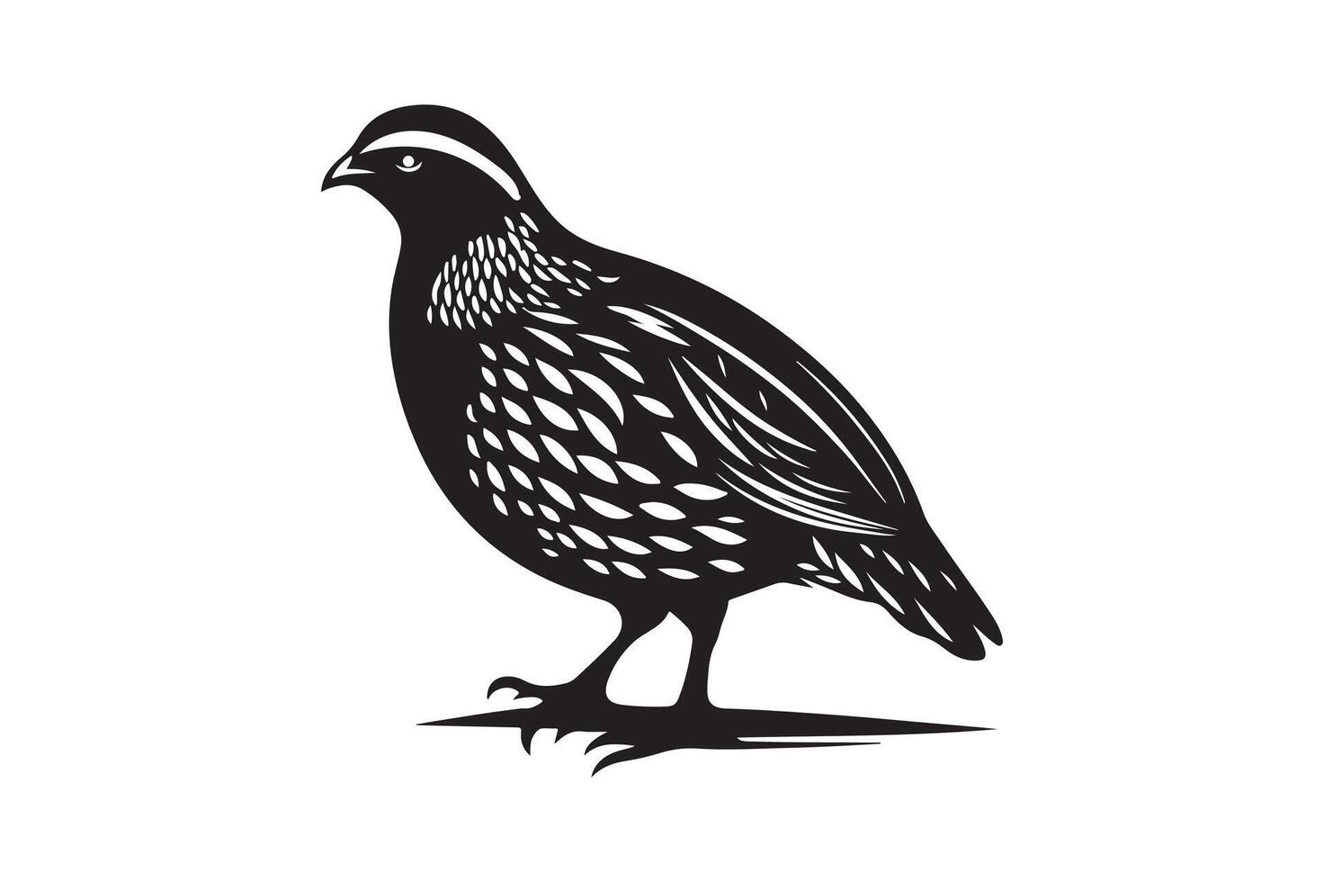 quail bird silhouette image vector