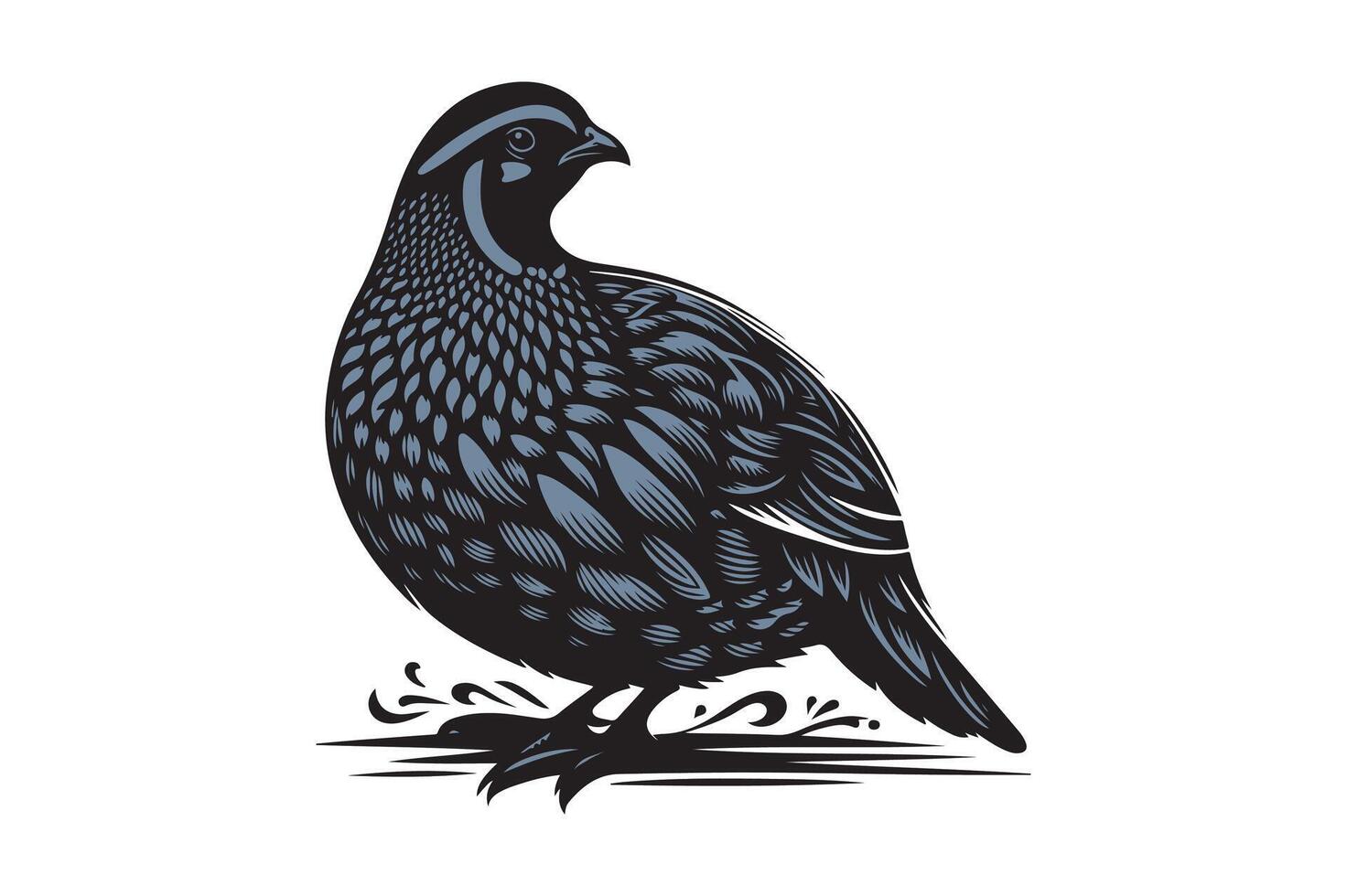 quail bird silhouette image vector