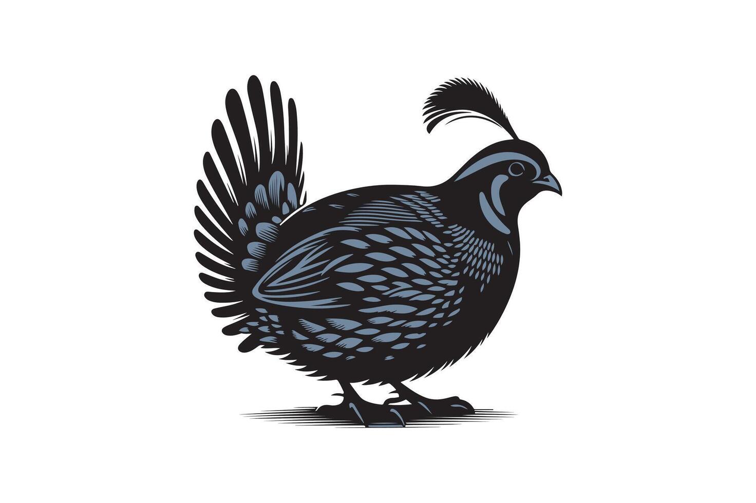 quail bird silhouette image vector