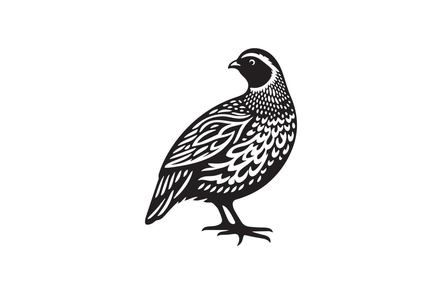 quail bird silhouette image vector