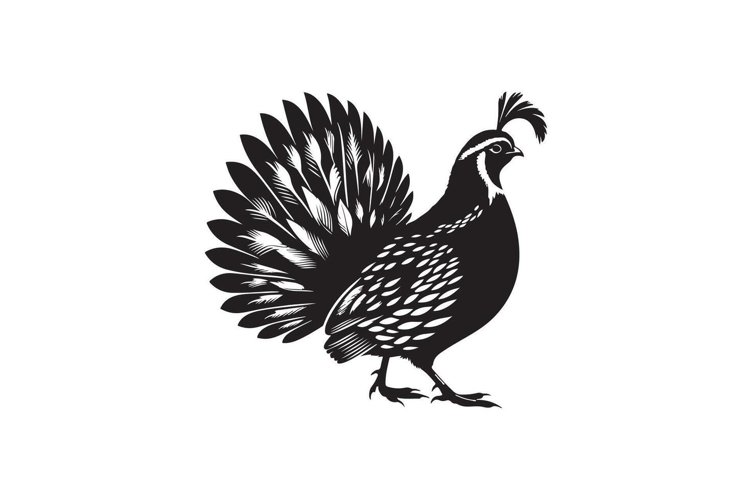 quail bird silhouette image vector