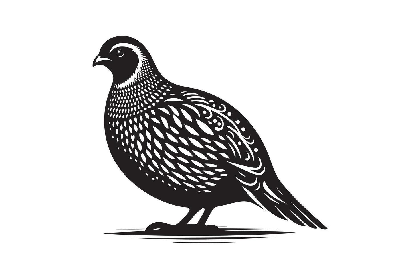 quail bird silhouette image vector