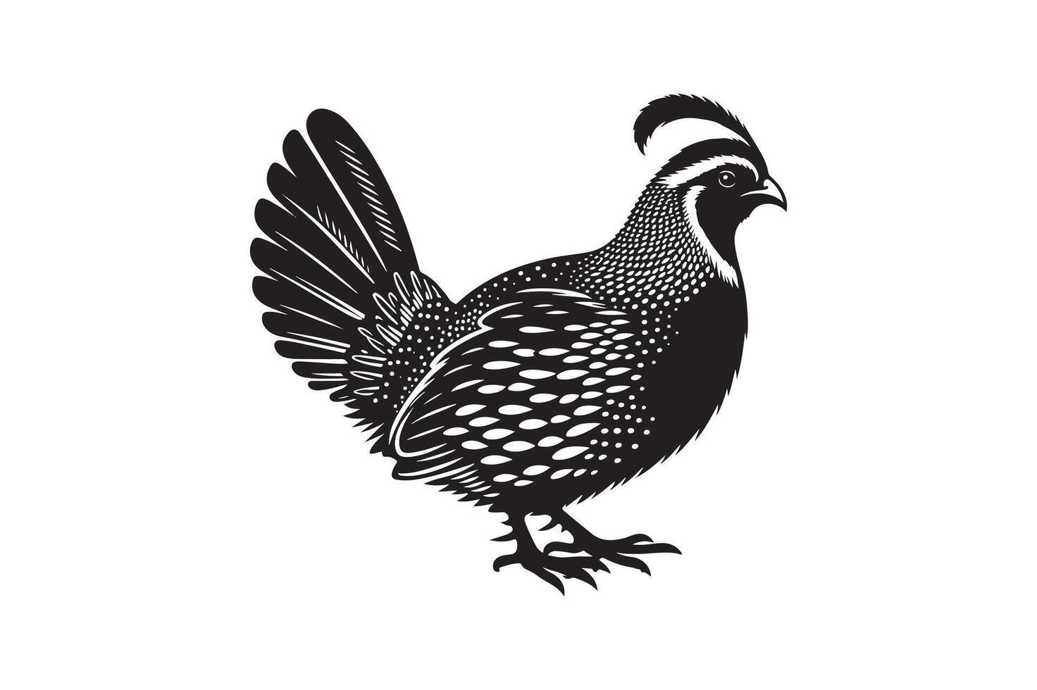 quail bird silhouette image vector
