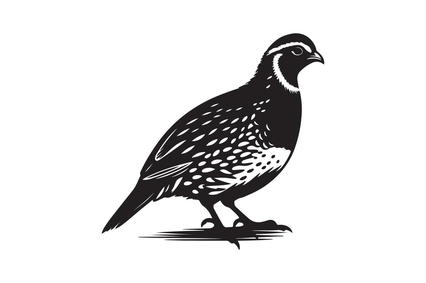 quail bird silhouette image vector