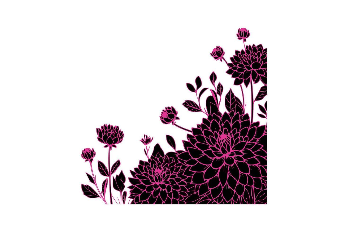 a row of dahlia with open illustration vector
